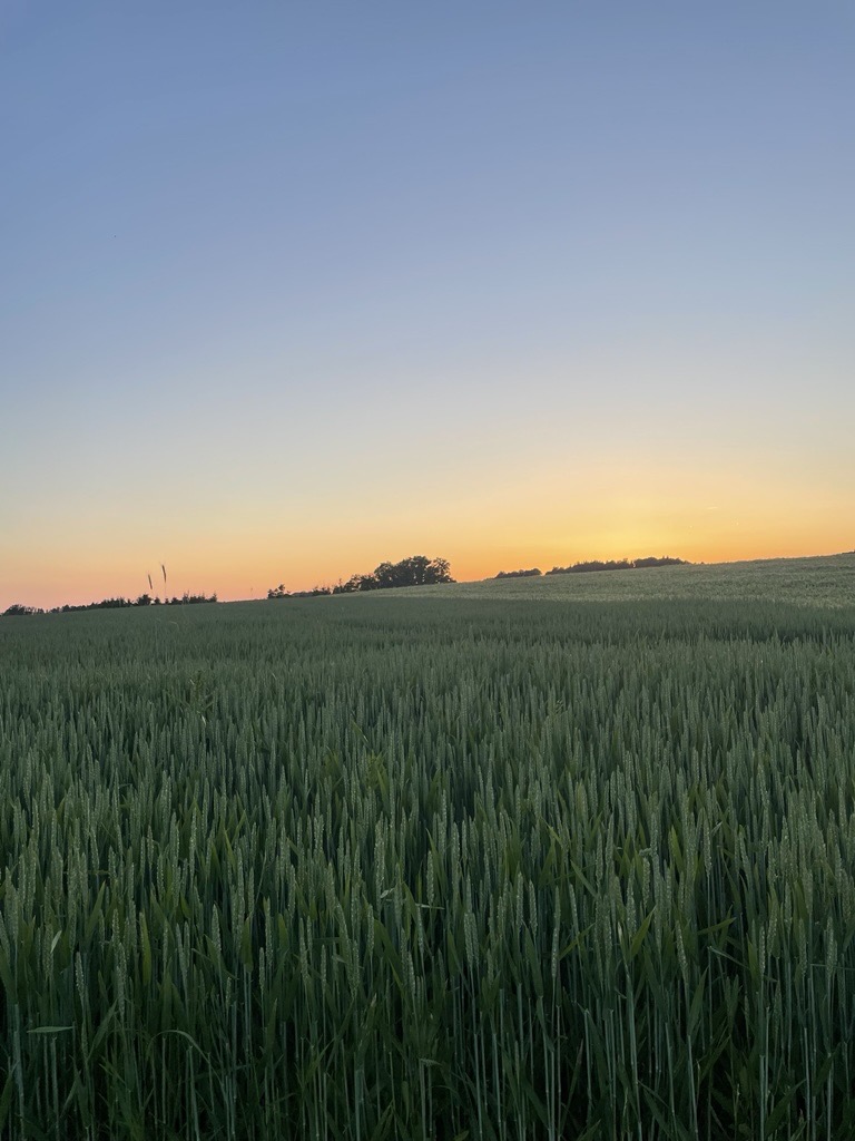 Sonnenuntergang